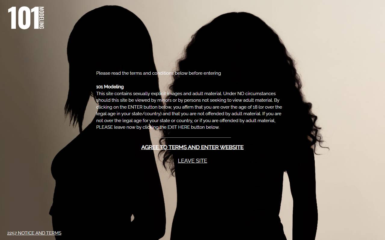 101 Modeling website screenshot