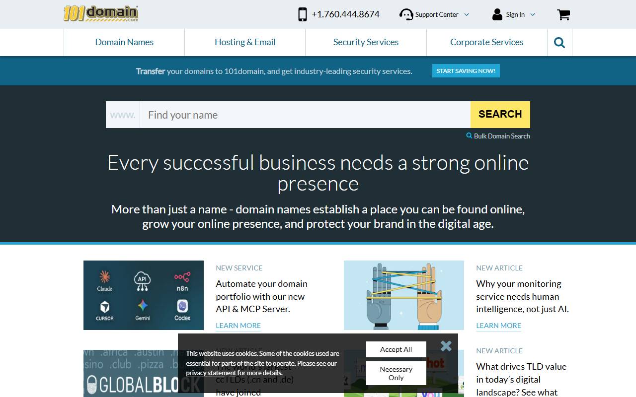 101Domain website screenshot