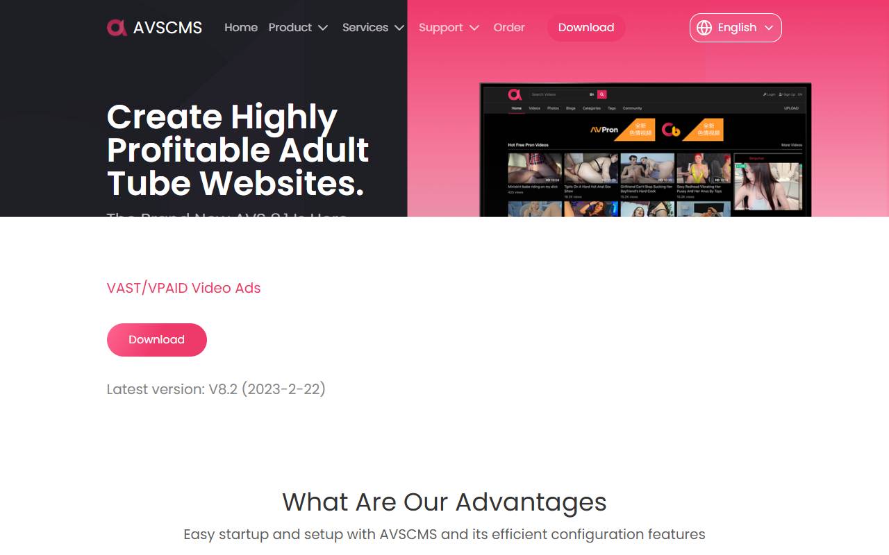 Adult Video Script website screenshot
