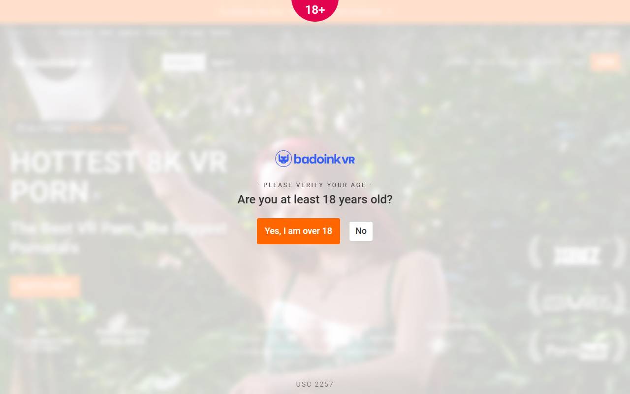 BaDoinkCash website screenshot