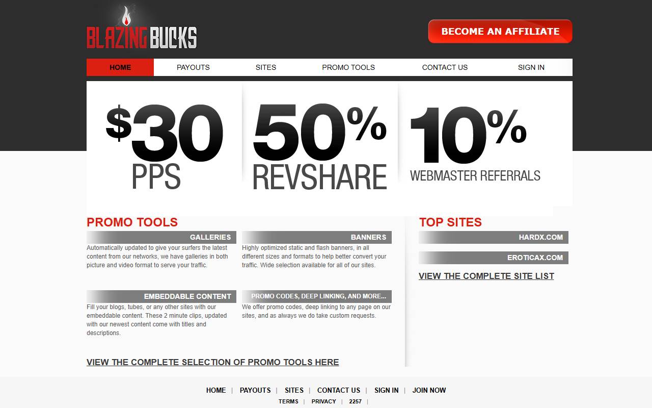 Blazing Bucks website screenshot