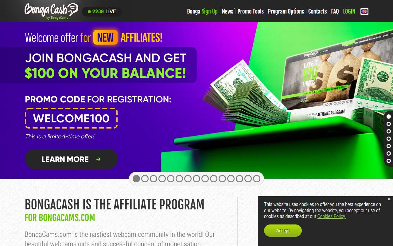 BongaCash website screenshot