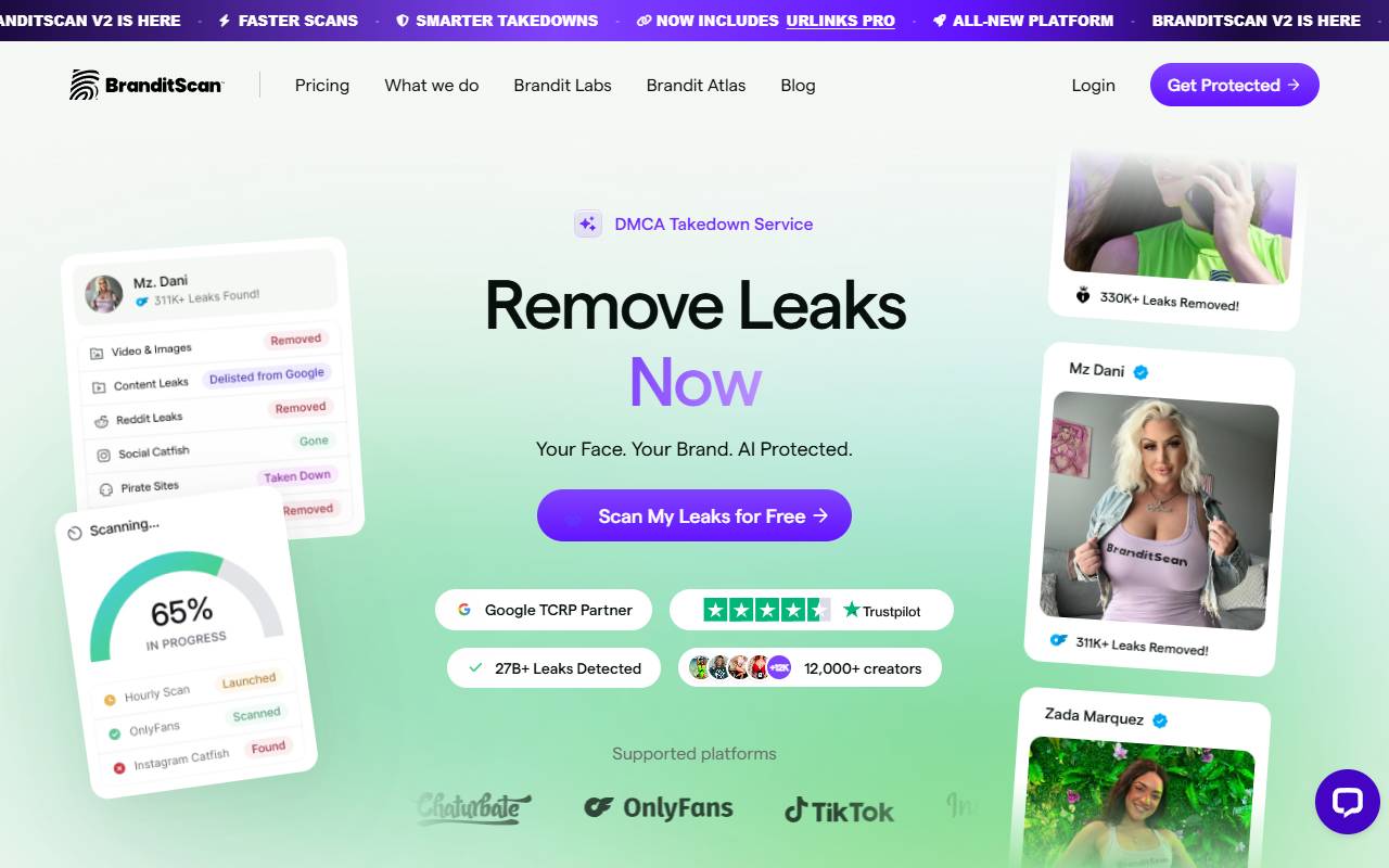 BranditScan website screenshot