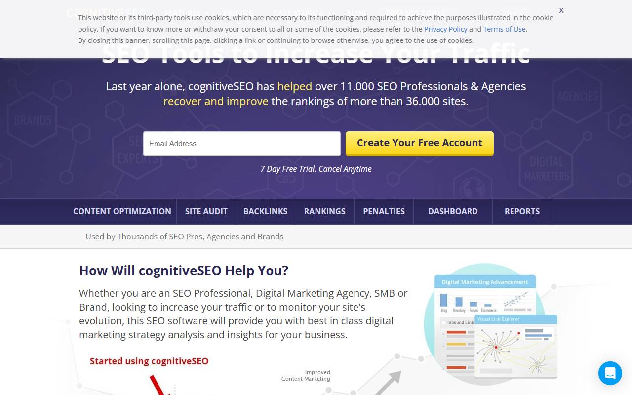cognitiveSEO website screenshot