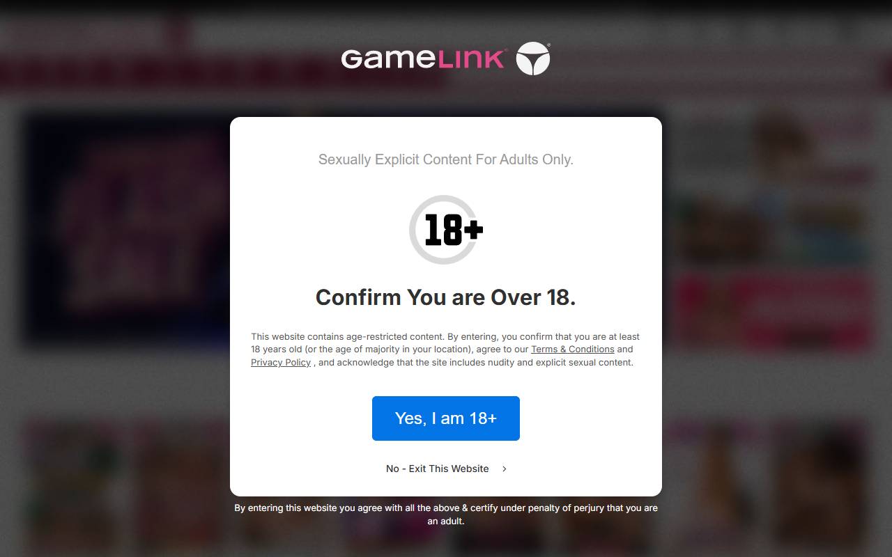 GameLink Partners website screenshot