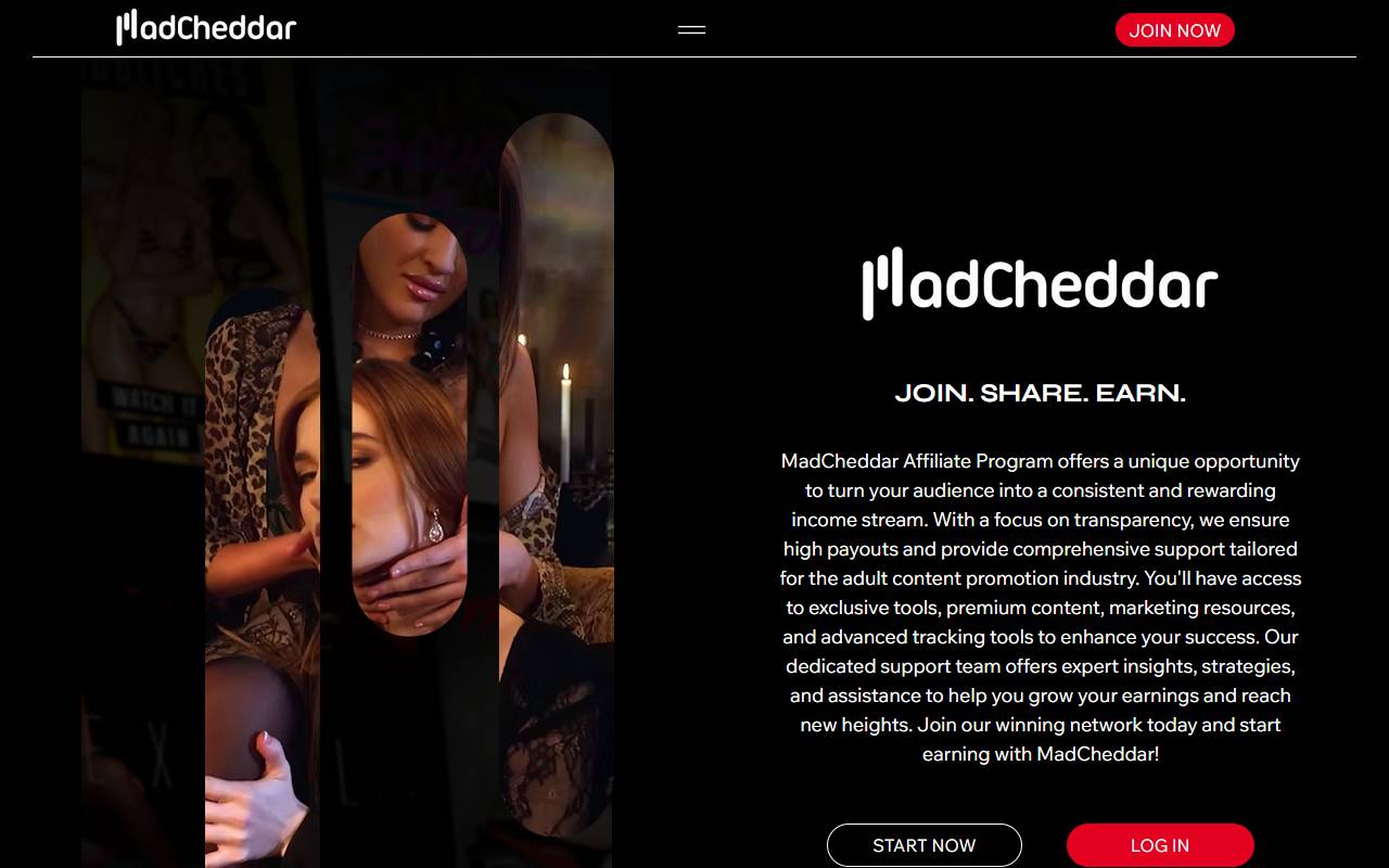 MadCheddar website screenshot