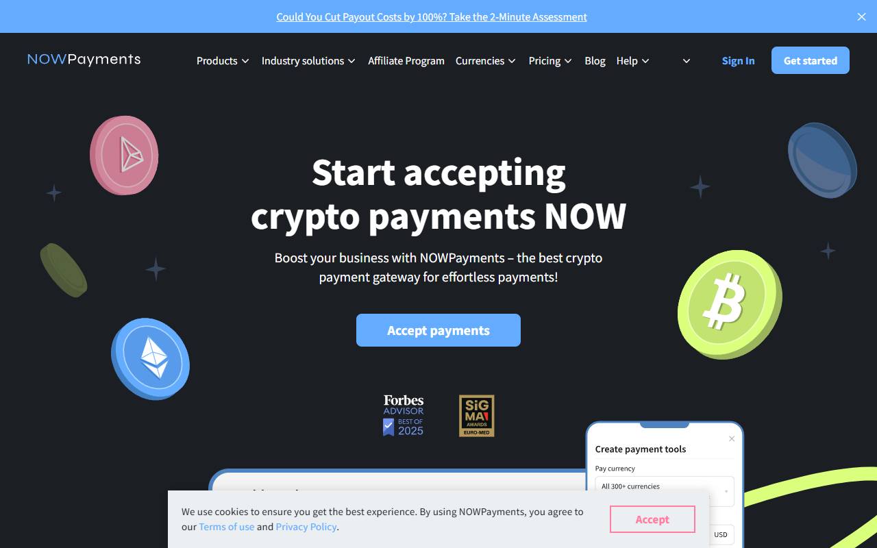 NOWPayments website screenshot