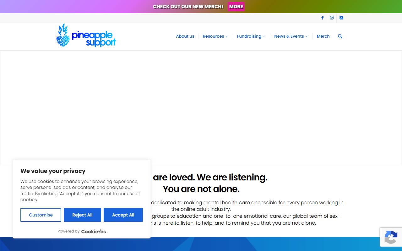 Pineapple Support website screenshot