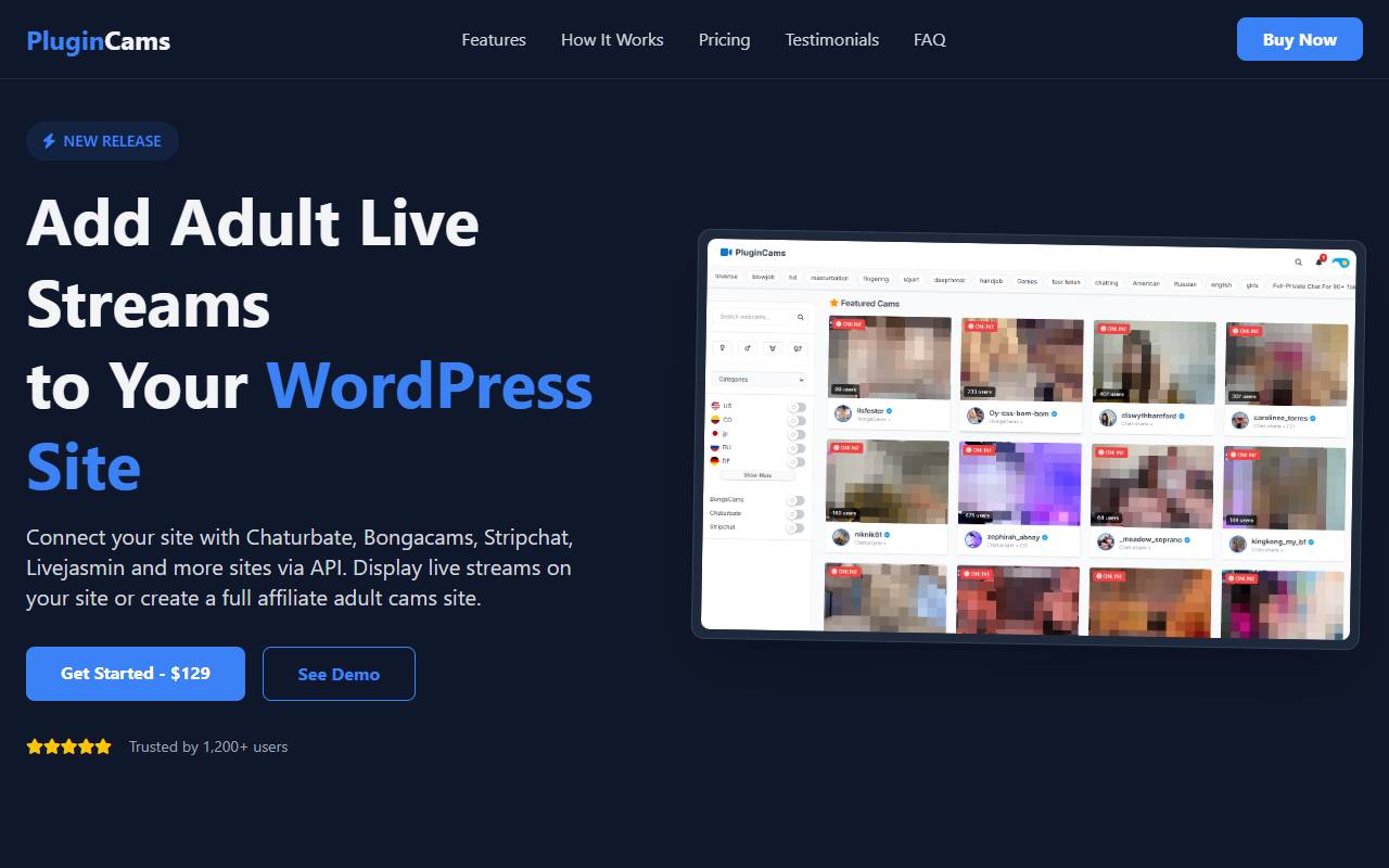 PluginCams website screenshot