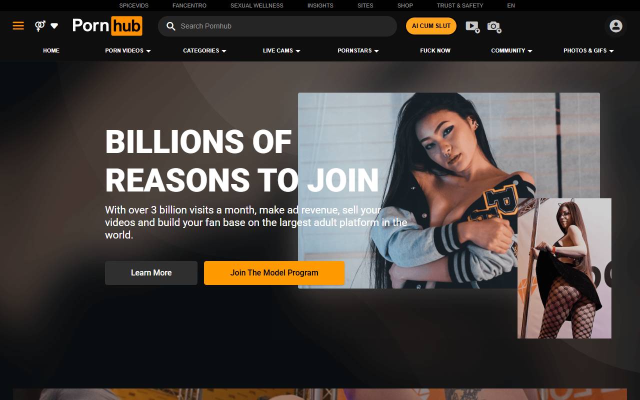 Pornhub Model Partner Program website screenshot