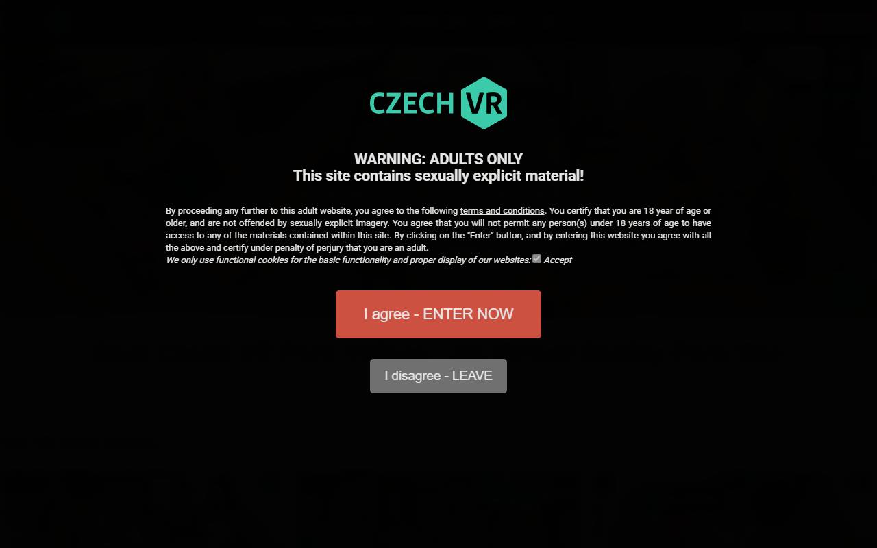 PornoMental (CzechVR Network) website screenshot