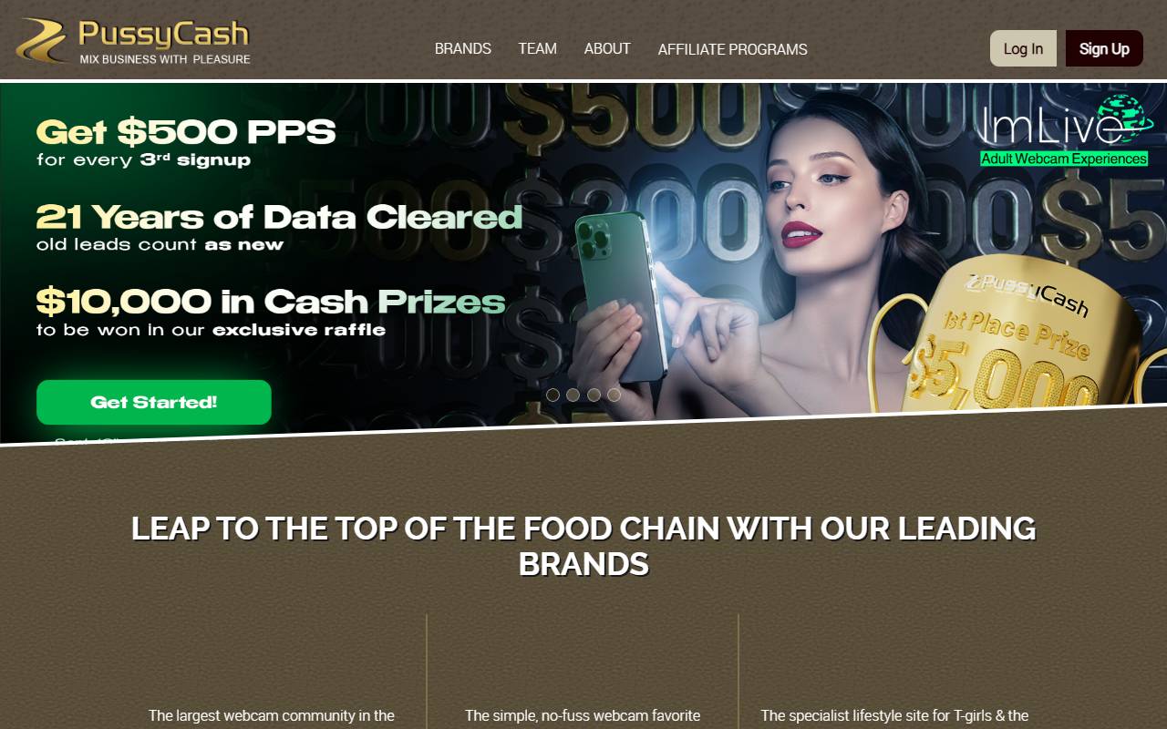 PussyCash website screenshot
