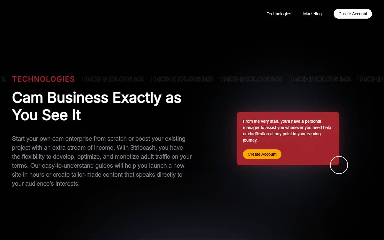 Stripcash website screenshot